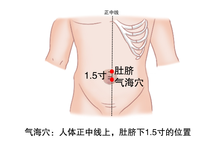 气海穴图片