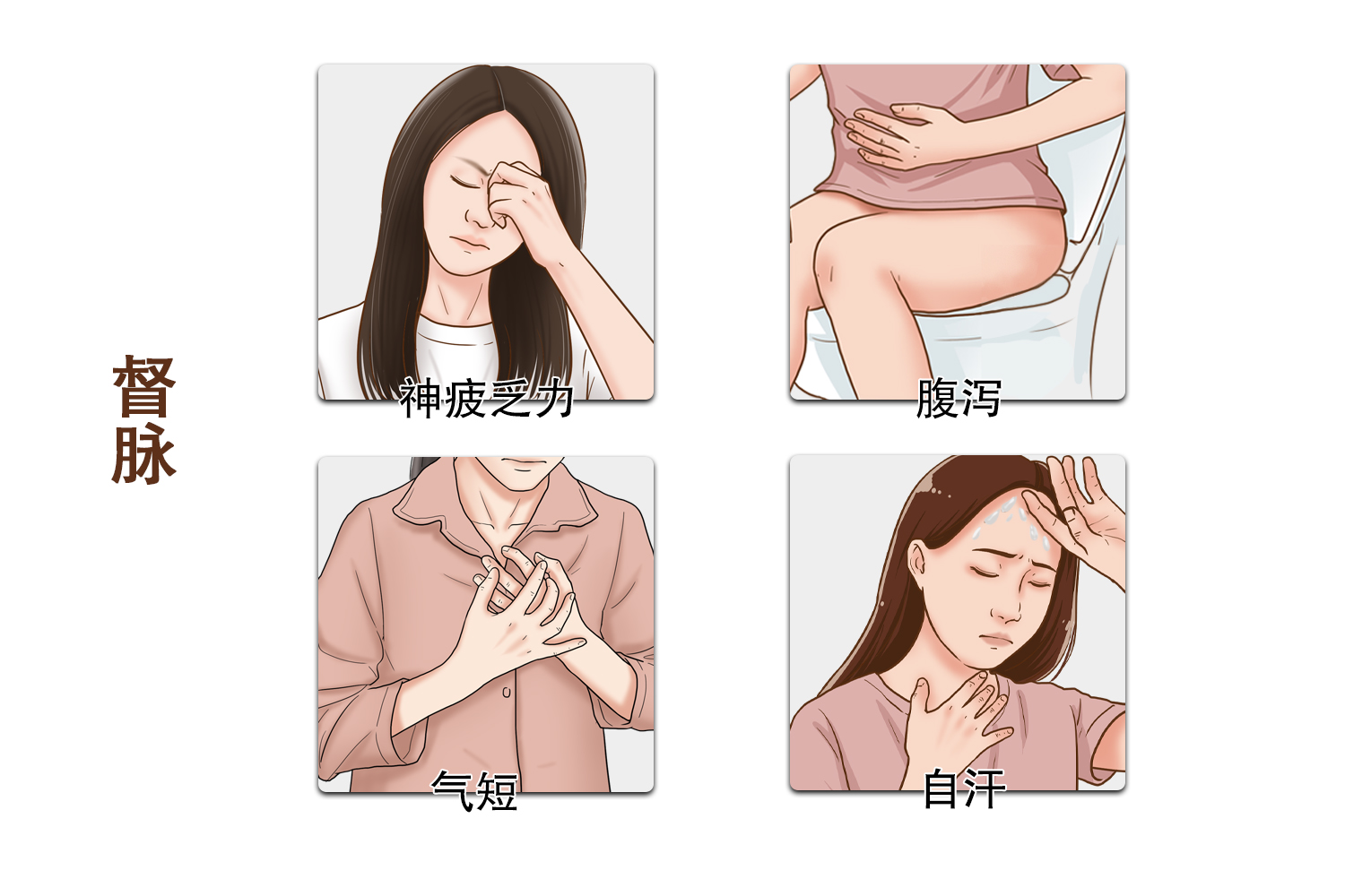 督脉图