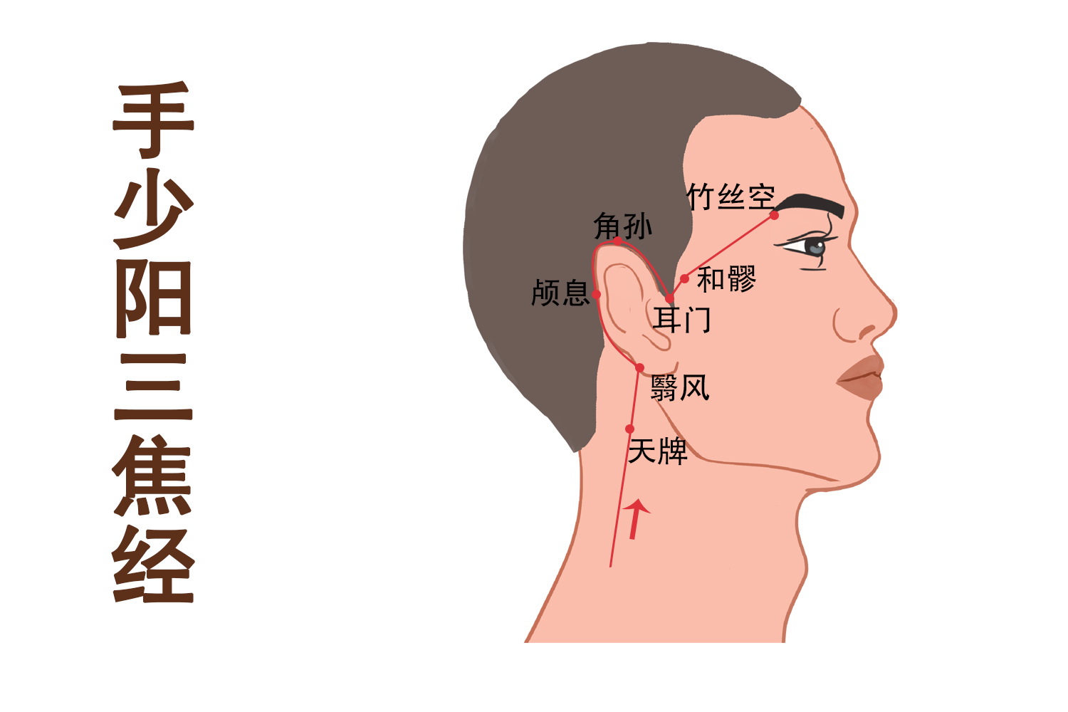 手少阳三焦经图
