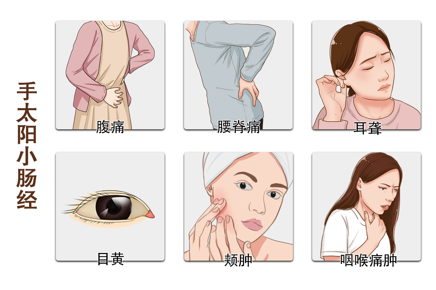 手太阳小肠经图