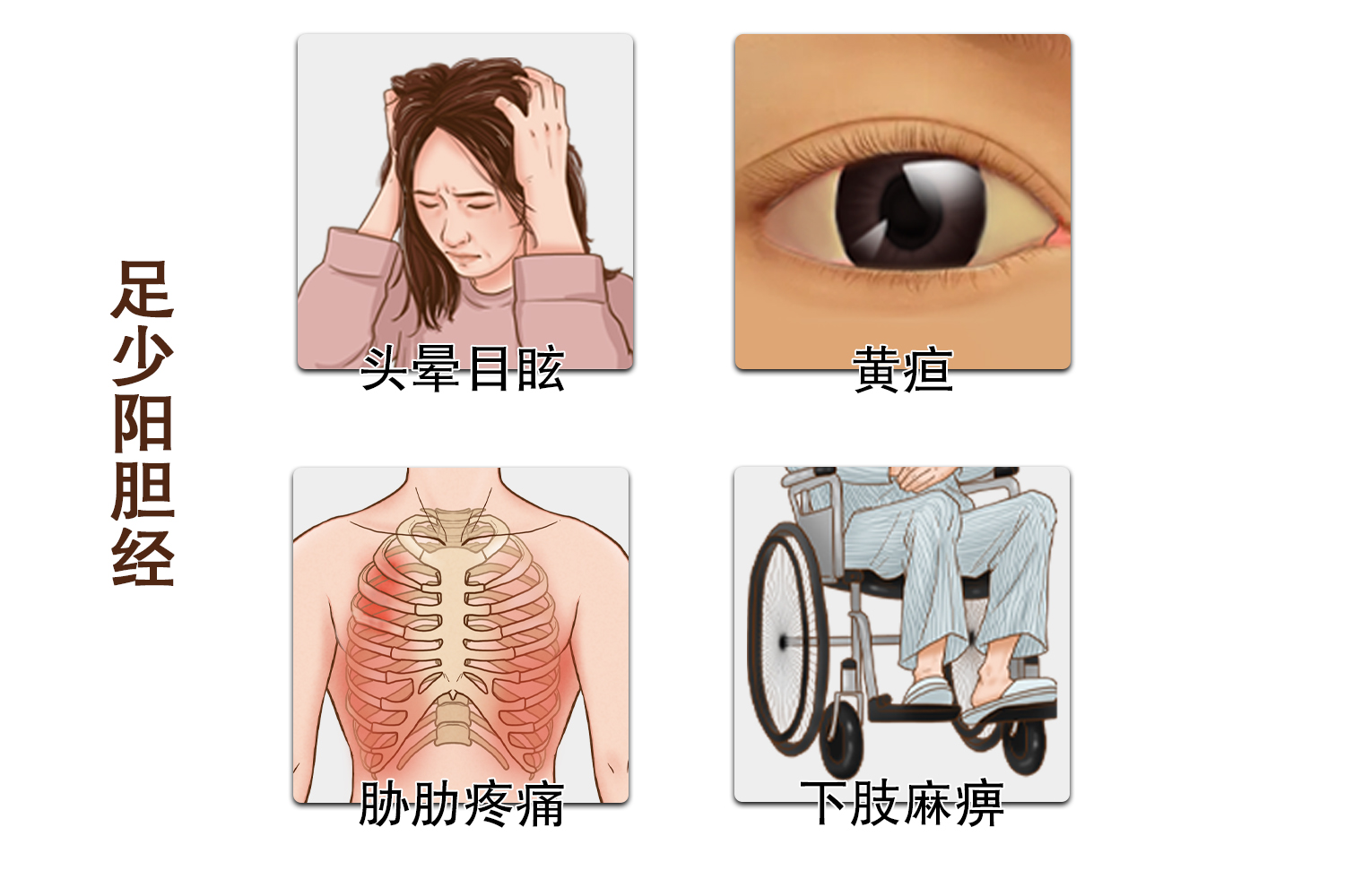 足少阳胆经图