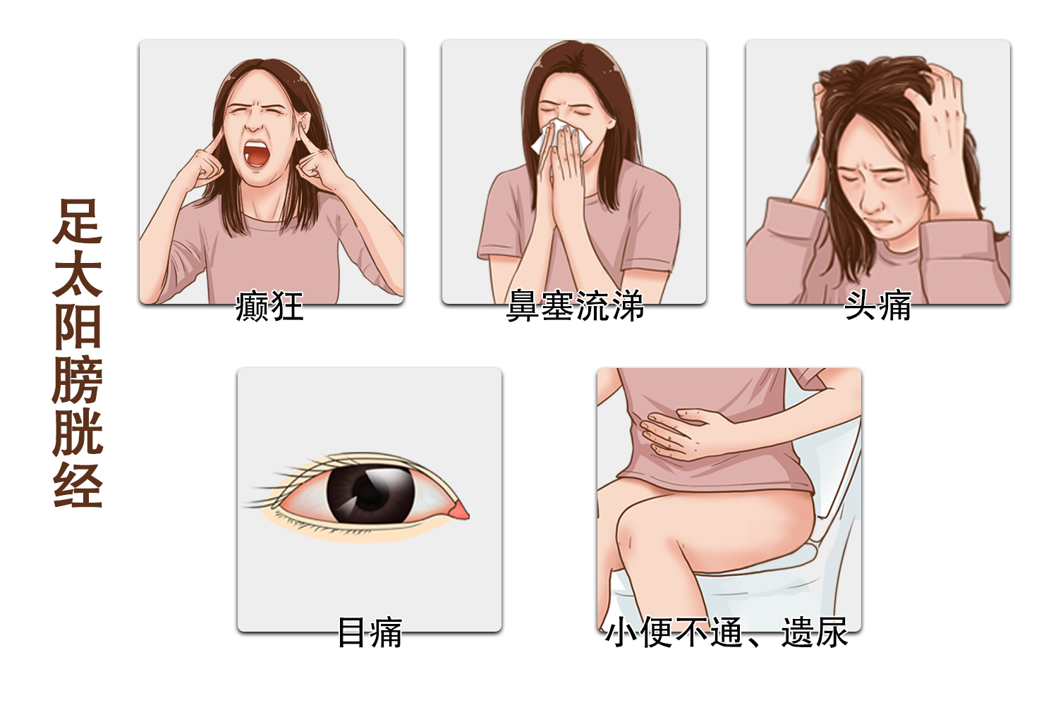 足太阳膀胱经图