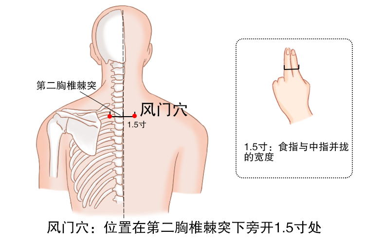 风门穴图