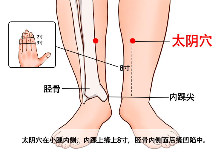 太阴的准确位置图片