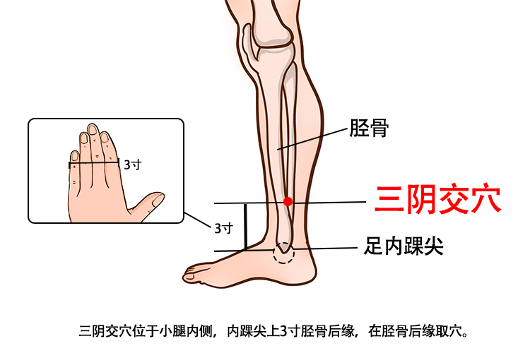更年期针灸部位图