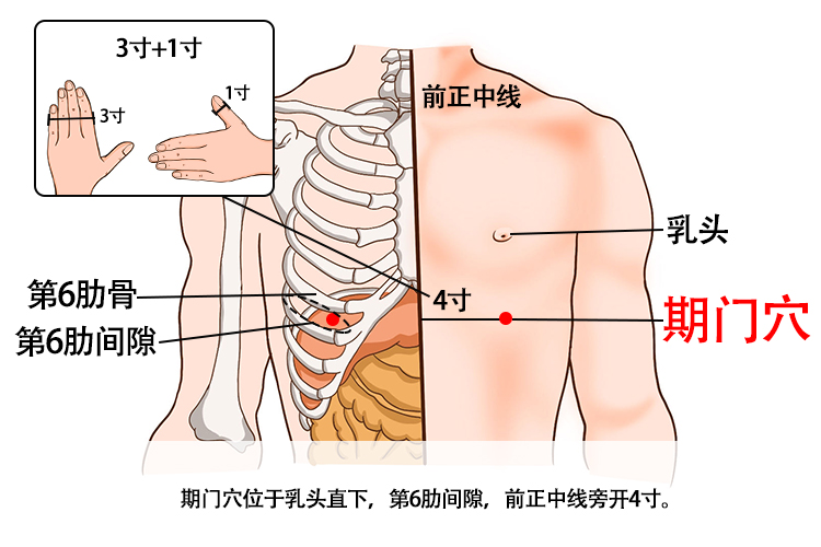 更年期针灸部位图