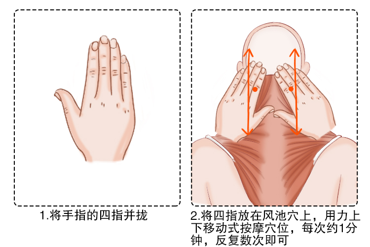 按揉风池穴图