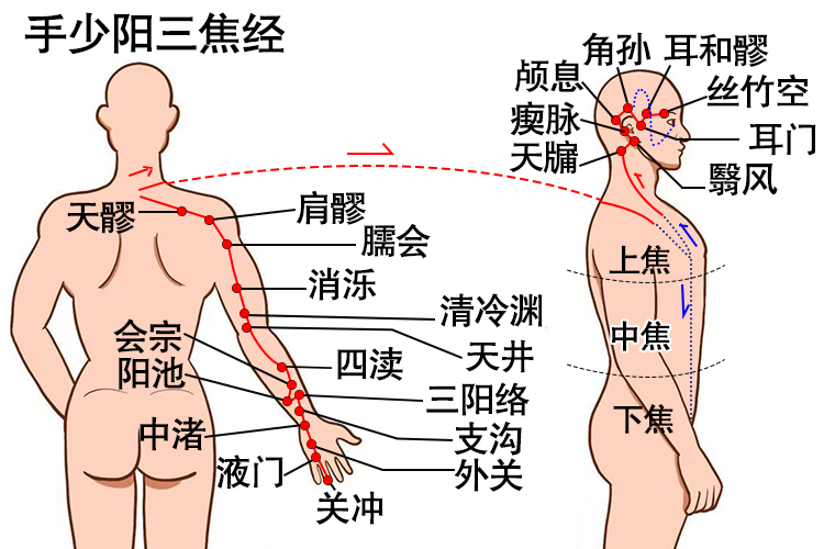 手少阳三焦经图