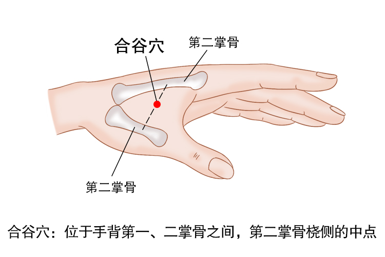 合谷穴图