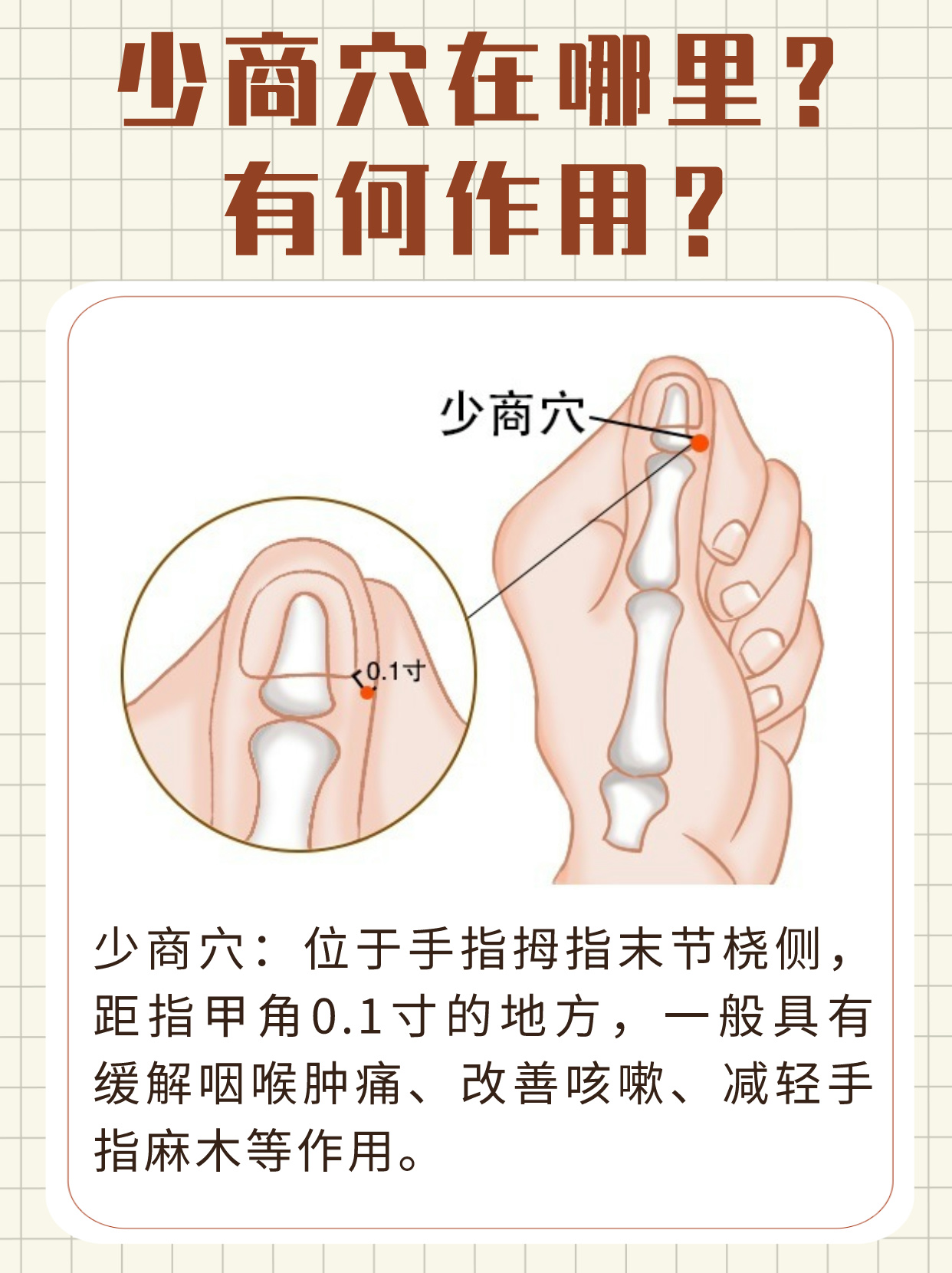 少商的准确位置图片