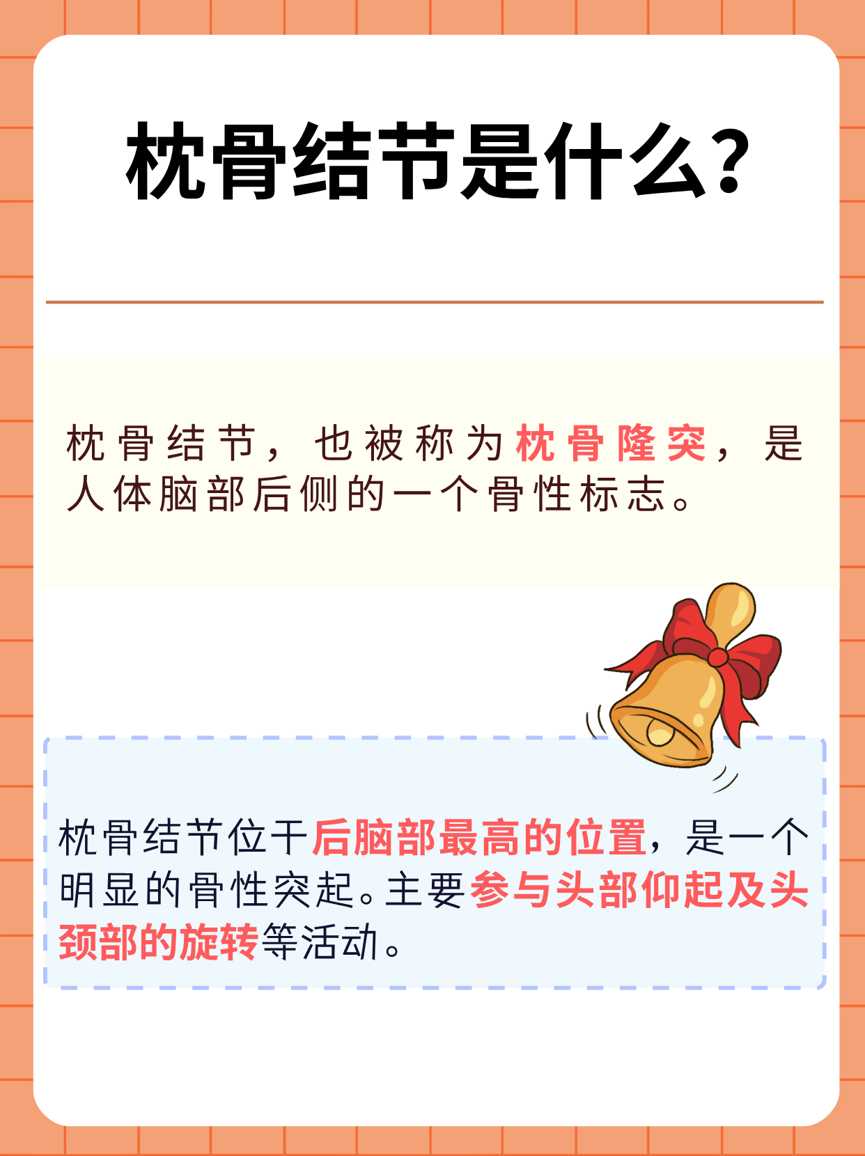 枕骨结节是什么?该如何保护呢?