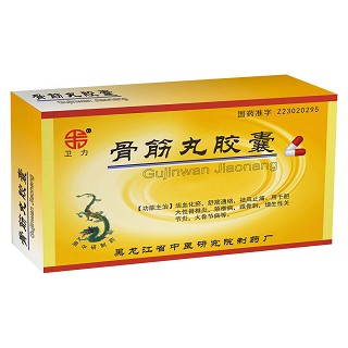 骨筋丸胶囊(卫力)