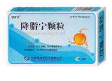 降脂宁颗粒(银诺克)