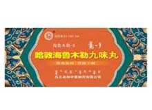 哈敦海鲁木勒九味丸