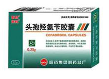 头孢羟氨苄胶囊(哈药)