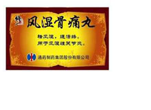 风湿骨痛丸(修正)